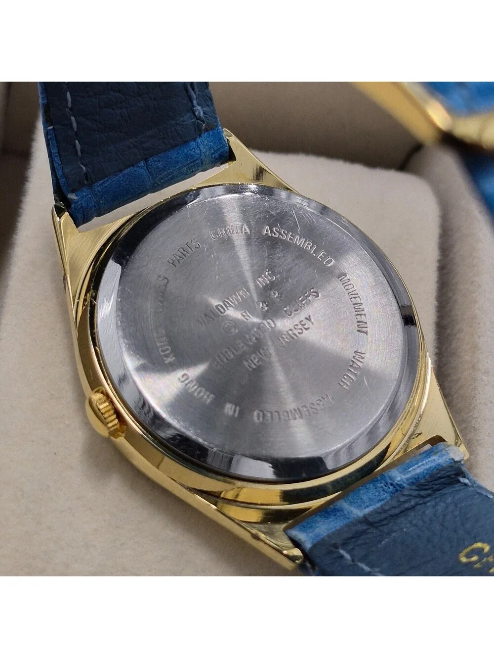 Valdawn Coral Reef Women's Quartz Analog Watch